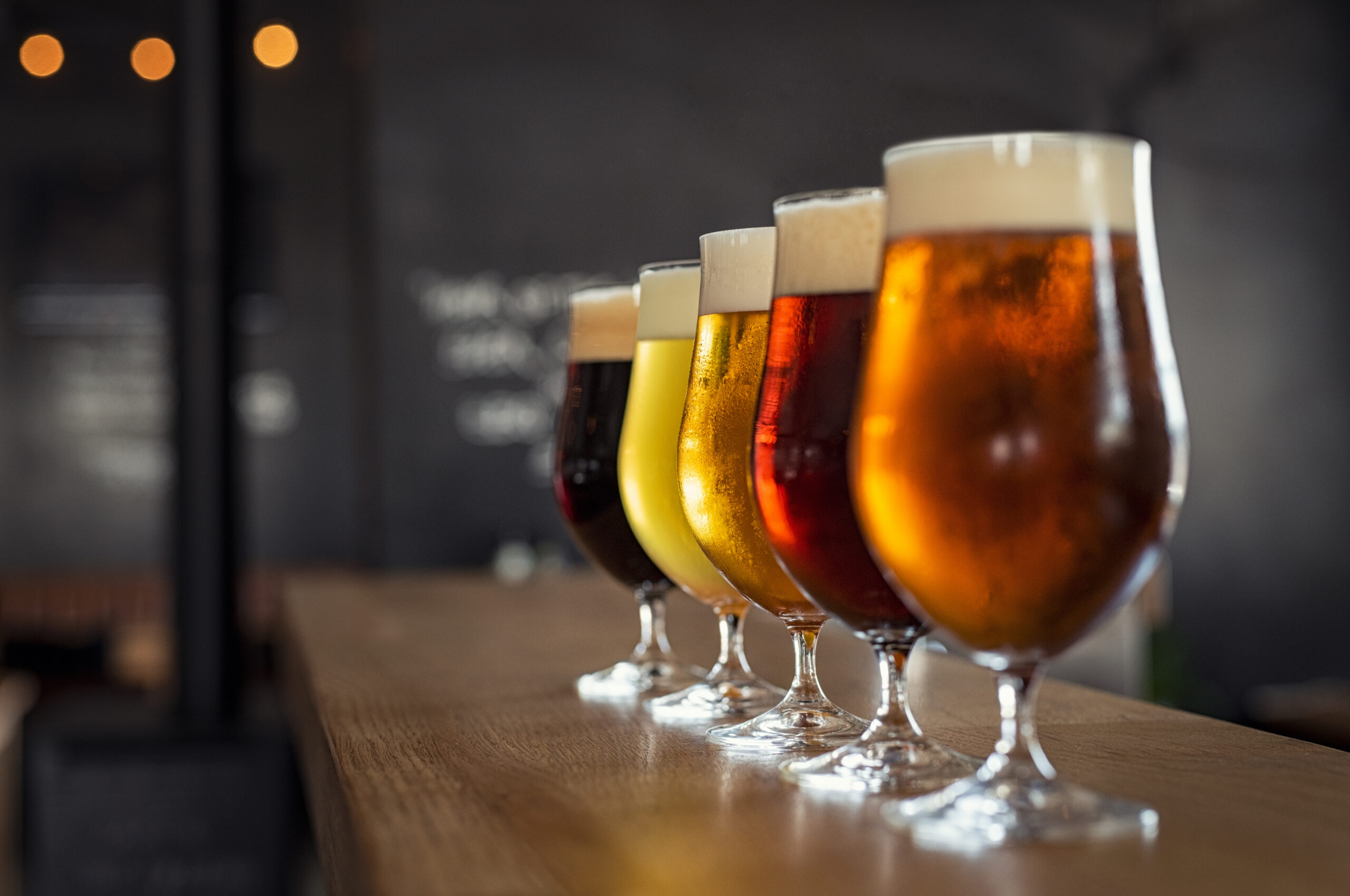 Beer Tasting with Food Pairings