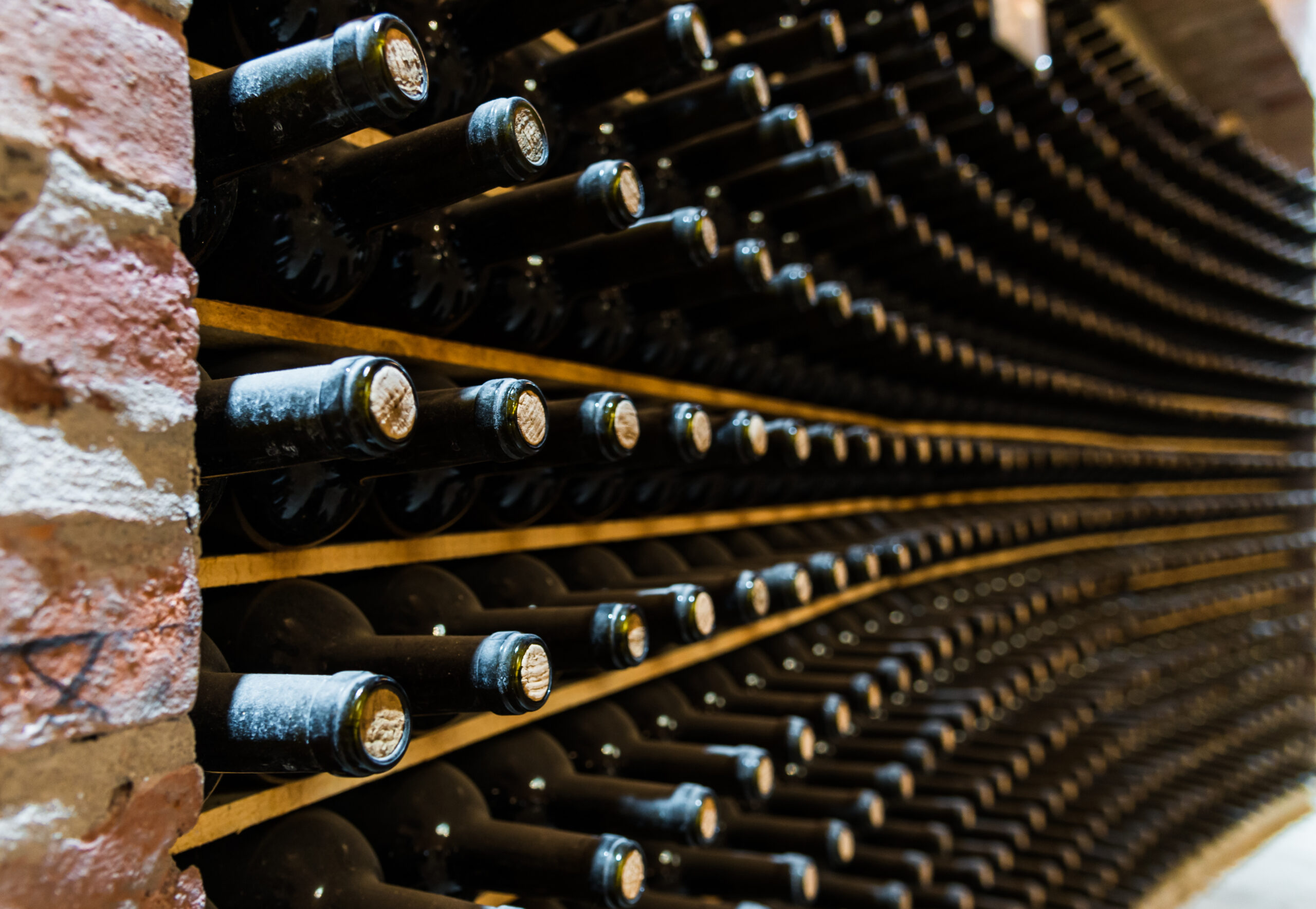 Wall of red wine bottles stored in a wine cellar of a winery