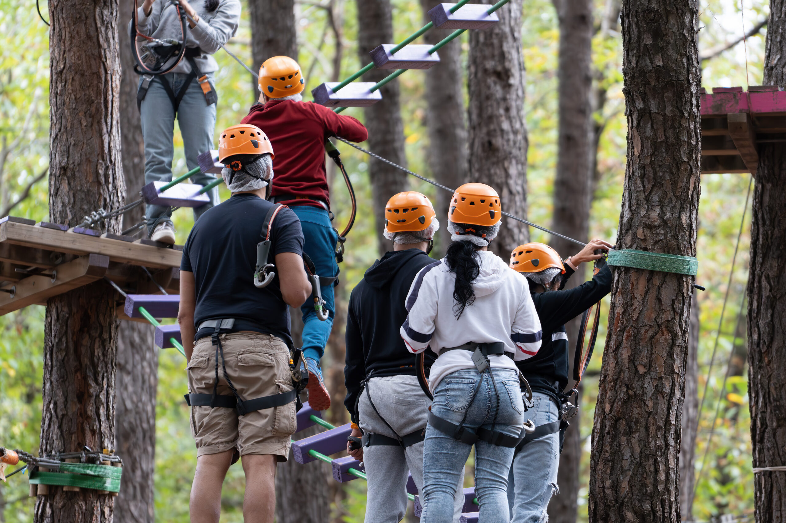 Group taking part in high rope challenge